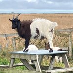 Photo taken by Mike D