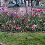 Photo taken by Audrey F