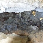 Photo taken by Barry Y