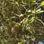 Photo taken by Ben B