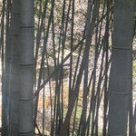 Photo taken by Kirti P