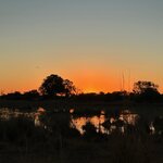 Photo taken by Tom B