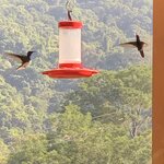 Photo taken by Nicole G