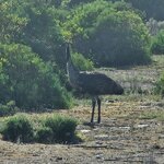 Photo taken by Dan J