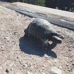 Photo taken by Bill R