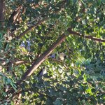 Photo taken by Chinwe O