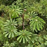 Photo taken by Mark S