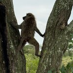 Photo taken by Allen E