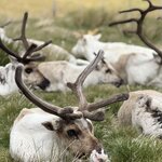 Photo taken by Ann B