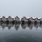 Photo taken by Andrew S