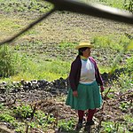 Quechua woman in the field | Photo taken by Kristin M