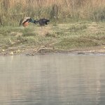 Photo taken by Meenakshi B