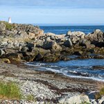 Photo taken by Dani L