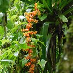 Photo taken by Brett F