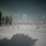 Photo taken by Dan C