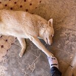 Photo taken by ANDREW L