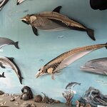 Photo taken by Yelena L