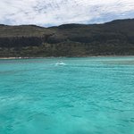 Photo taken by Victoria P