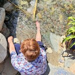 Photo taken by Patricia O