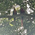 Photo taken by Alexia M