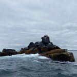 Photo taken by Kayla H