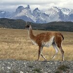 Photo taken by Sharon B