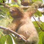 Photo taken by Mathew S