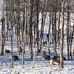 Photo taken by Jennifer E