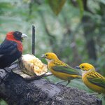 Photo taken by Brett F