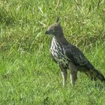 Photo taken by Graham D