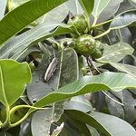 Photo taken by Kate R