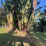 Photo taken by Marur Dev D