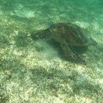 Photo taken by Julie H