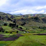 The most verdant shades of green | Photo taken by Peter S