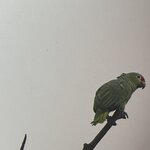 Photo taken by Darcy M