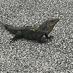 Photo taken by Michelle D