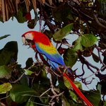 Photo taken by Mary D