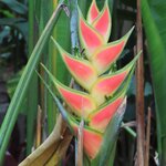 Photo taken by Pat K