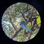 Photo taken by Aparna N