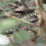 Photo taken by Ben B