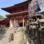 Photo taken by Norma M