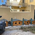 Photo taken by Christy C