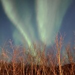 Photo taken by Jessica A