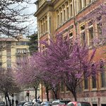 Photo taken by Alice W