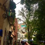 Photo taken by Zoe G