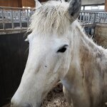 Photo taken by Amy C