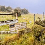 Photo taken by Kaya W