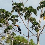 Photo taken by Kakoli K