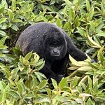 Photo taken by Patrice G