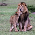 Photo taken by Paul B